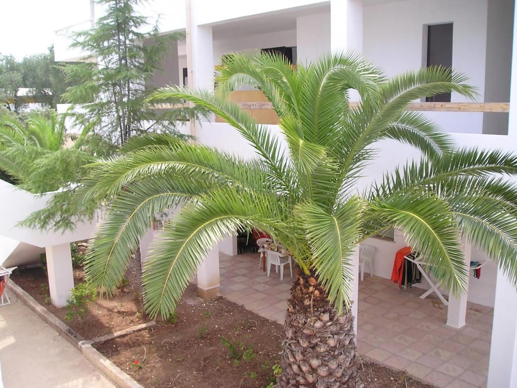 Residence Baia Del Gallo Vieste Exterior photo